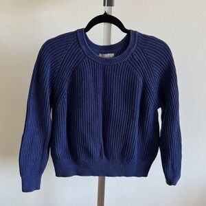 J Crew Blue Knit Sweater